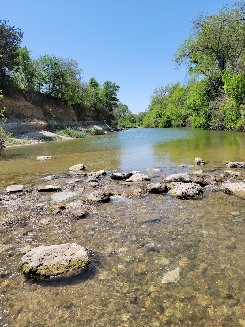 Dog Park Blue photo 3