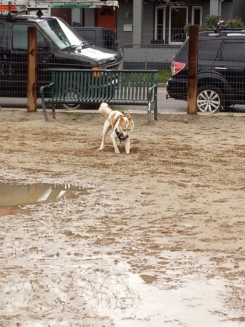 Dog Park