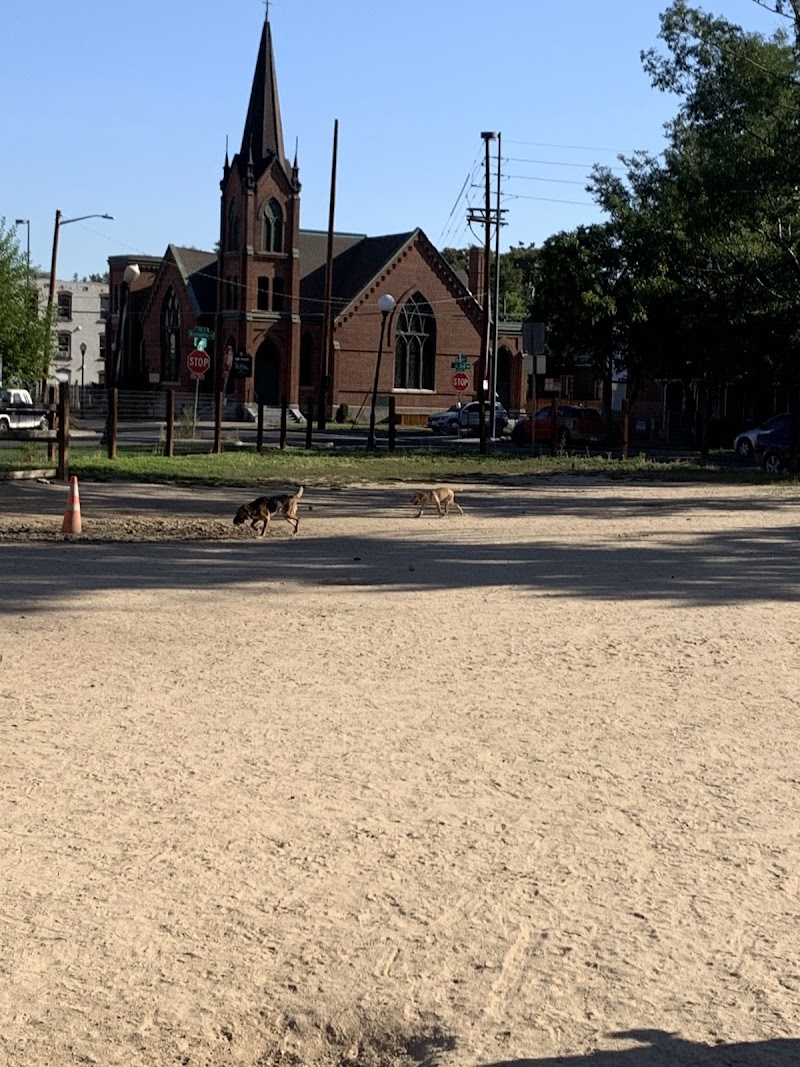 Dog Park photo 2