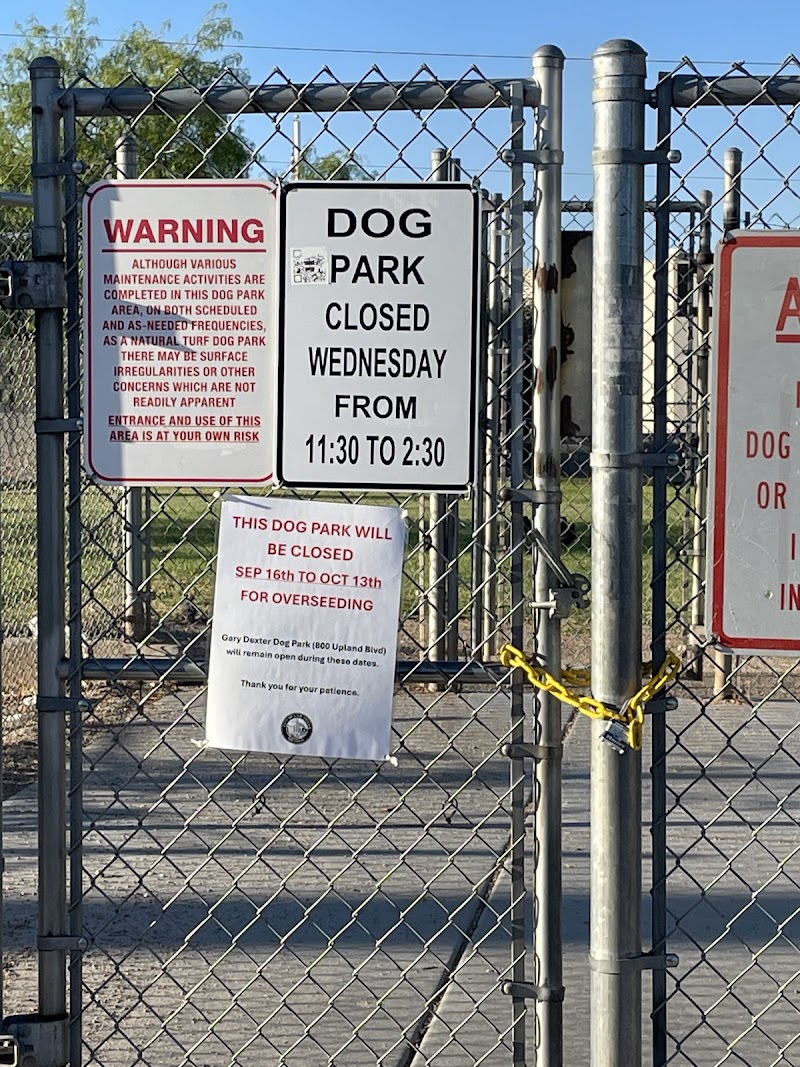 Dog park photo 2
