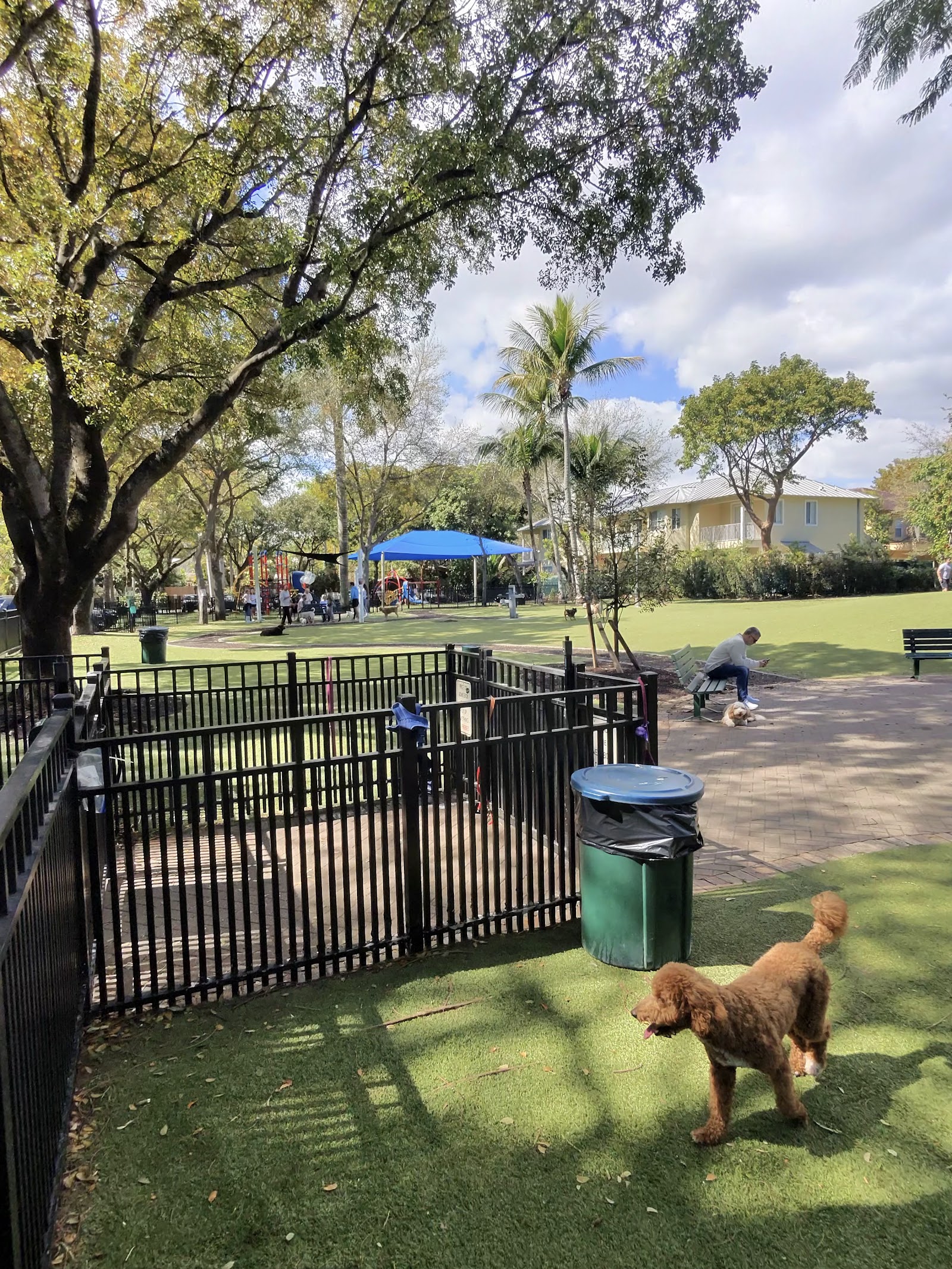 Dog Park