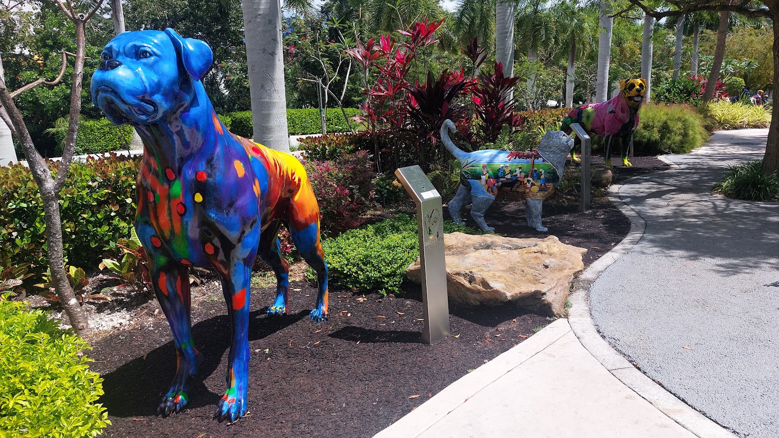 Dog Park