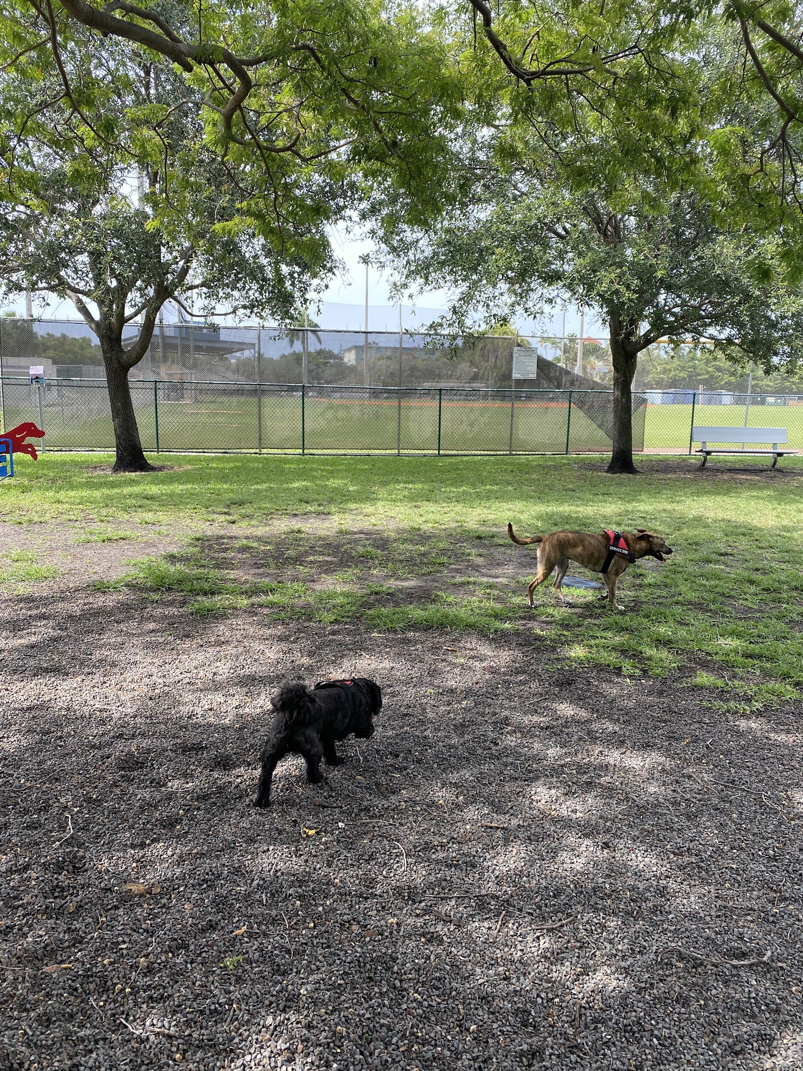 Dog park