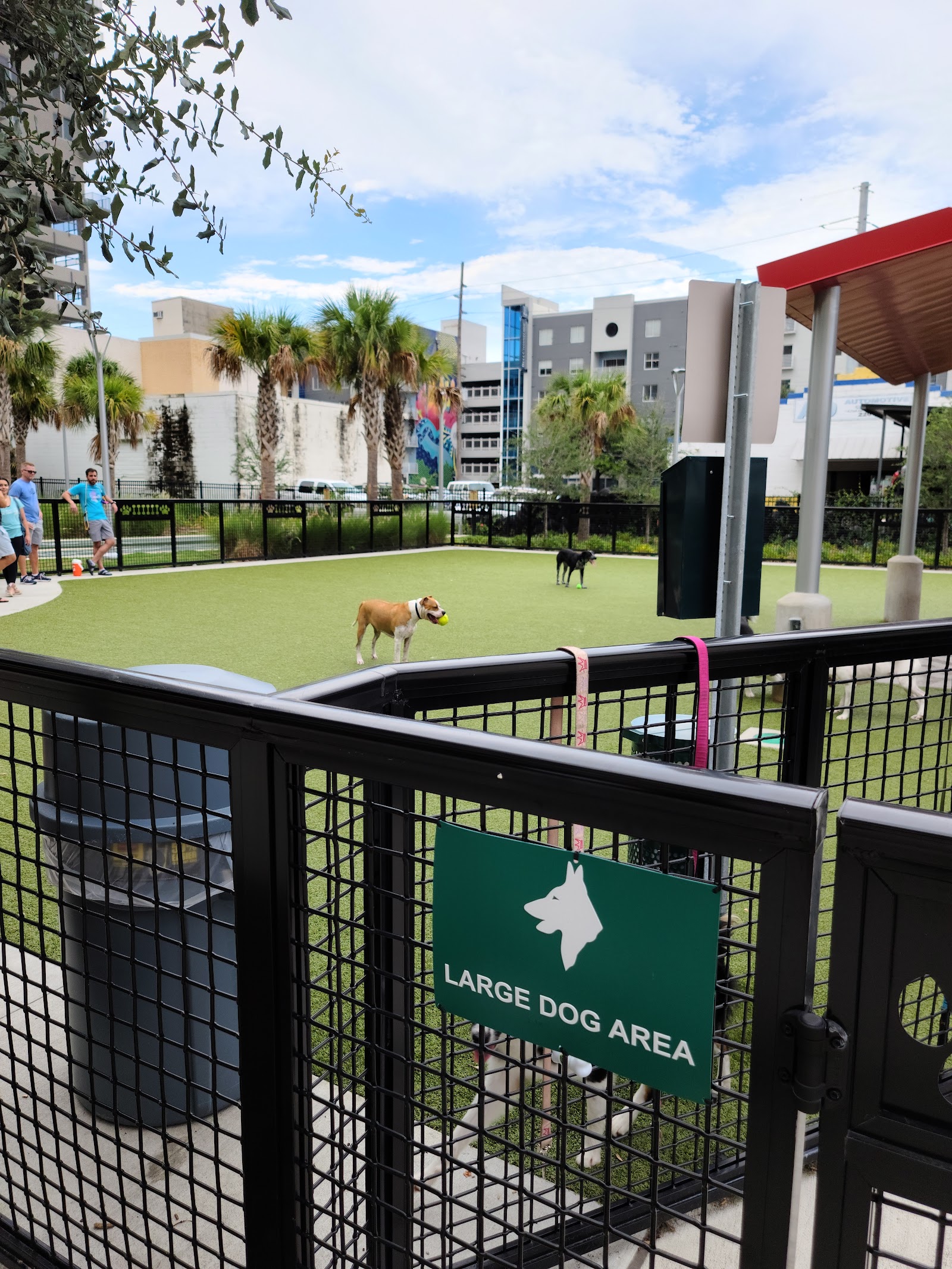 Dog Parks at Madison Street Park