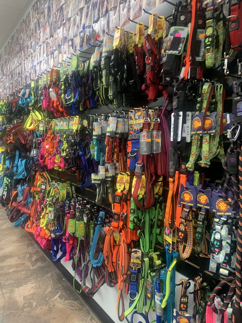 Dog Supplies Outlet photo 3