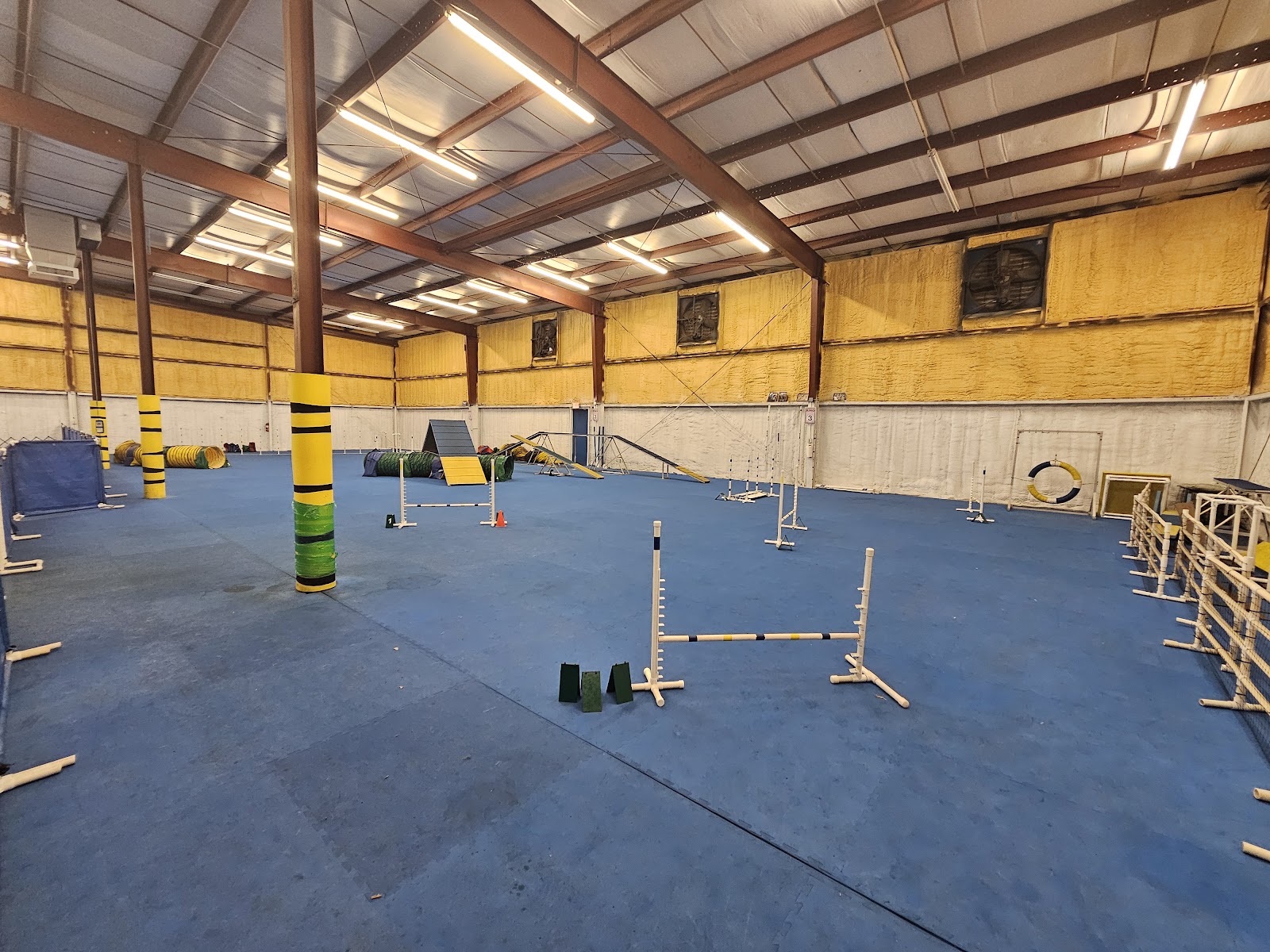 Dog Training Club of Tampa, Inc