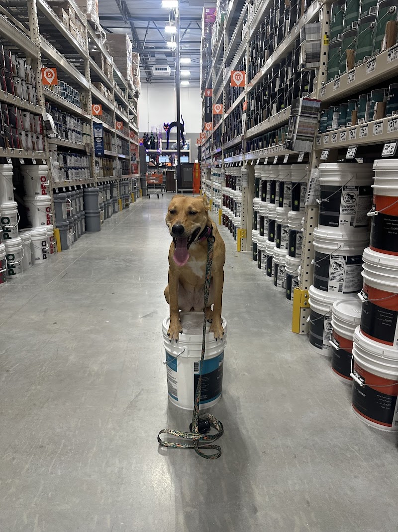 Dog Training Elite Hill Country photo 2