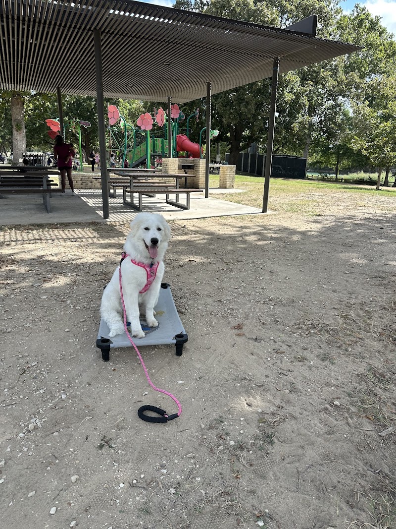 Dog Training Elite Hill Country photo 3