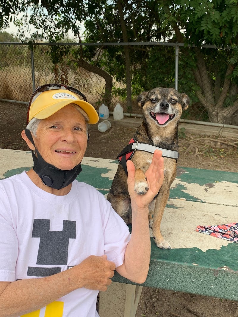 Dog Walks 'N More, LLC