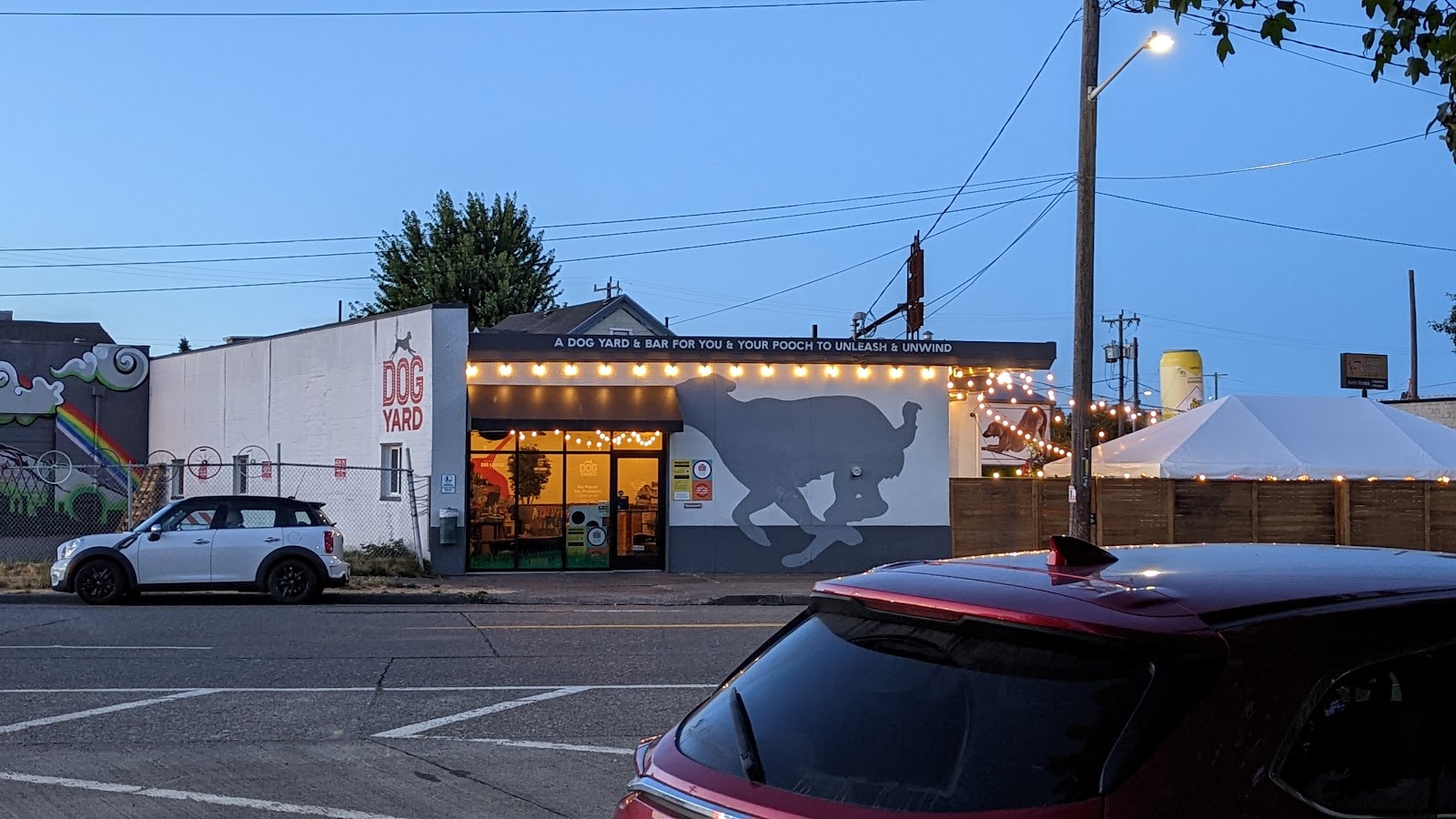 Dog Yard Bar