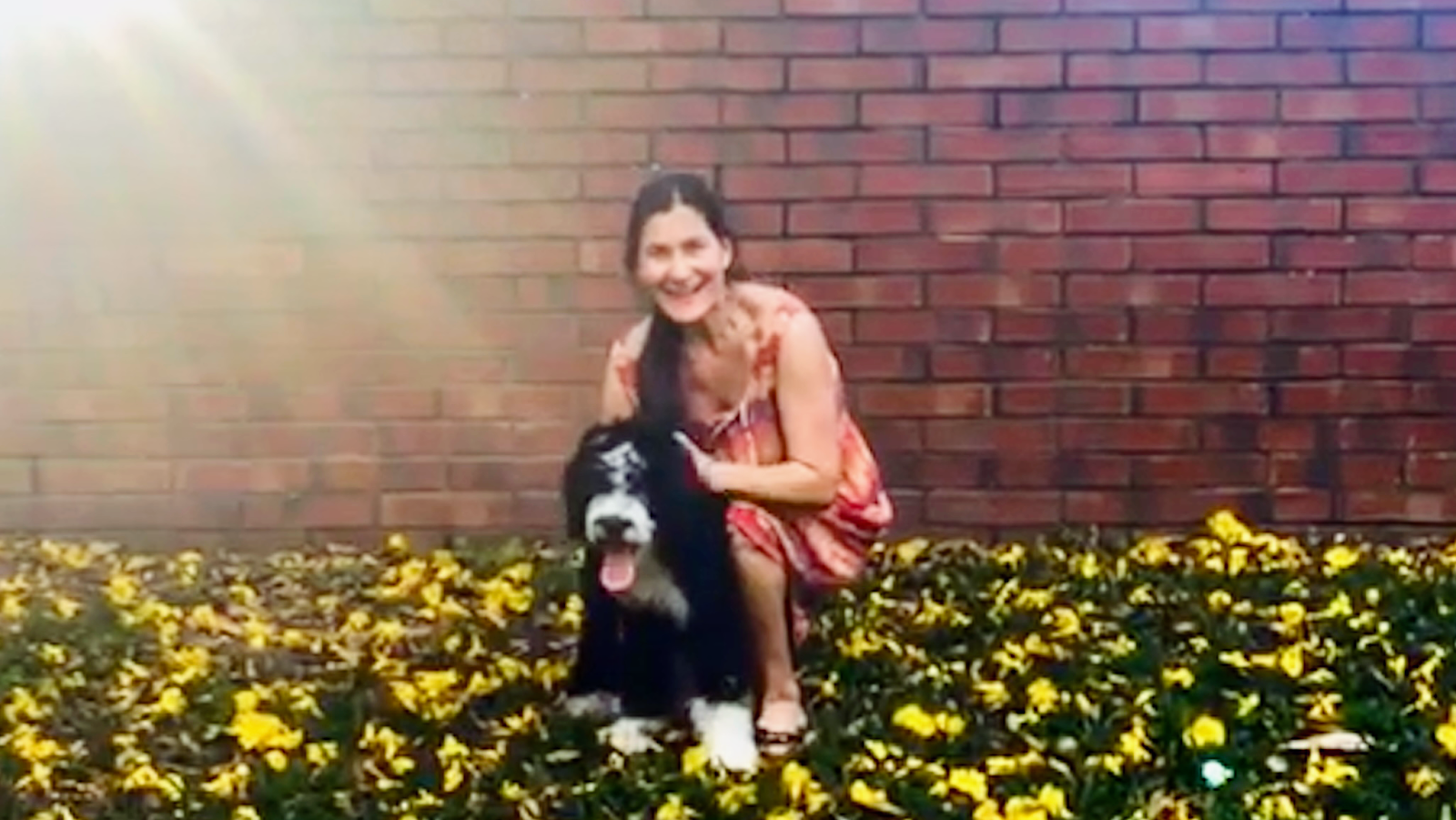 DogdaysFurEver Pet Care, Boarding & Walking