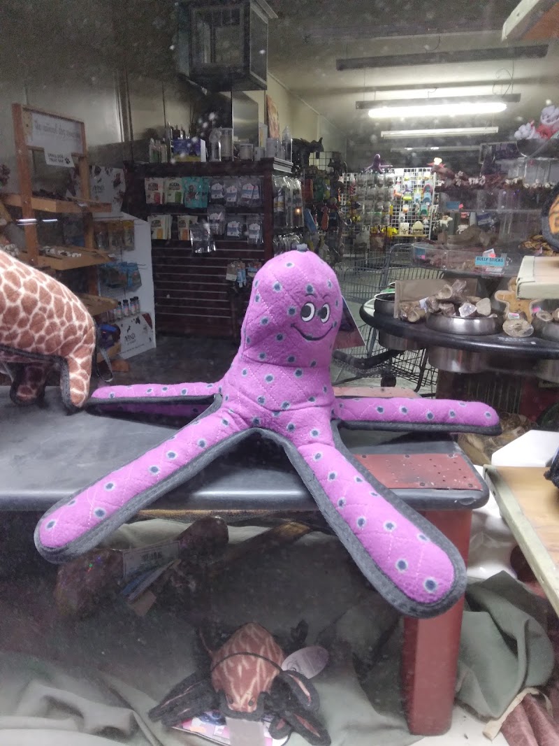 Doggie Delights On Broadway photo 3