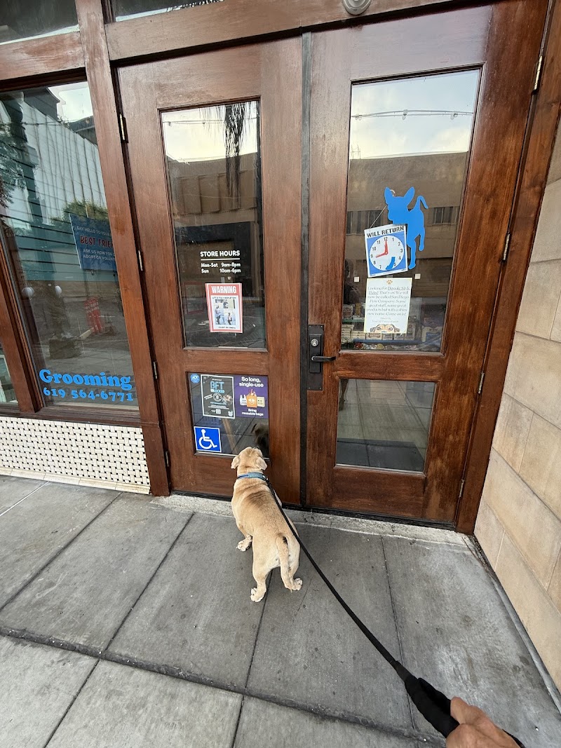 Doggie Style Pets Little Italy