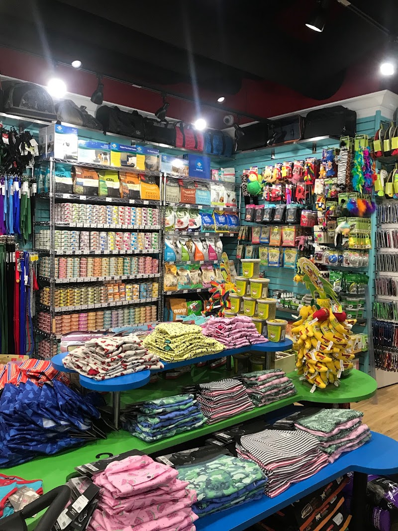 Doggie Style Pets Little Italy photo 3