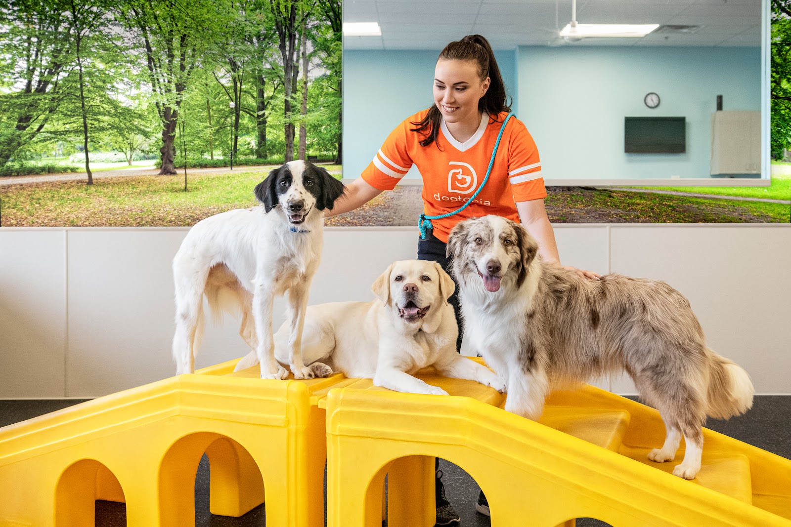 Dogtopia of Downtown Orlando
