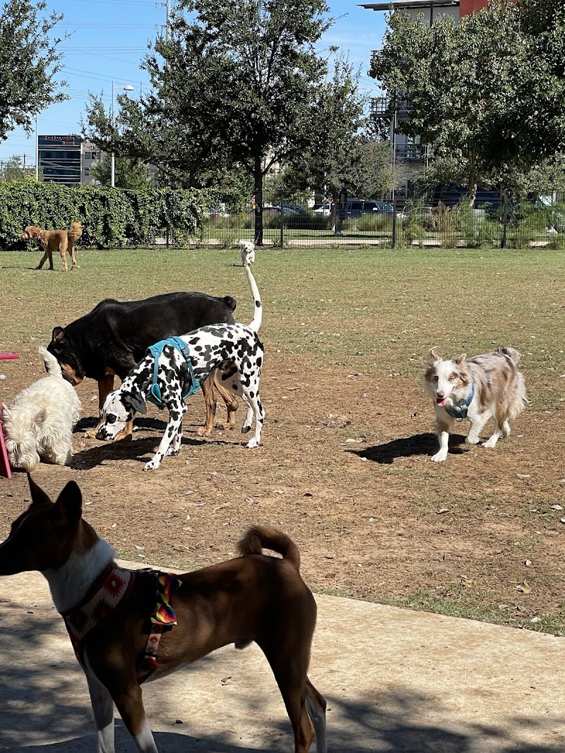 Domain Central Bark photo 2