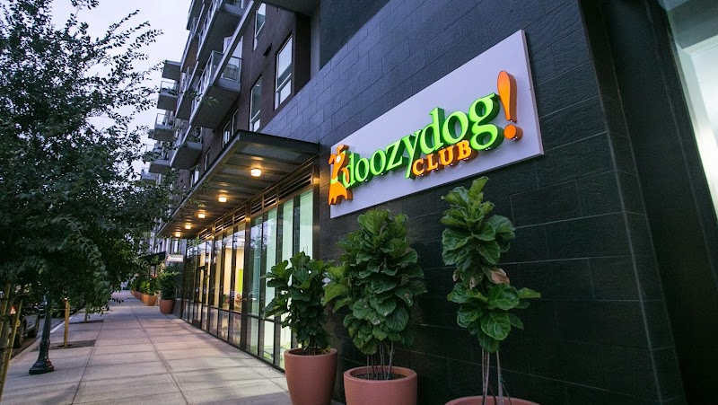 Doozydog! Club photo 2