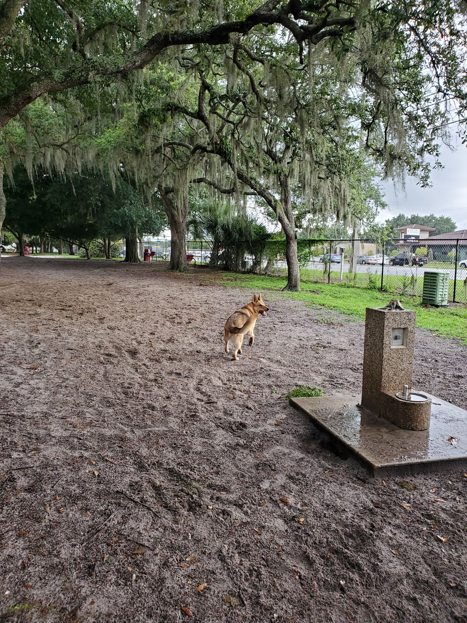 Downey Dog Park