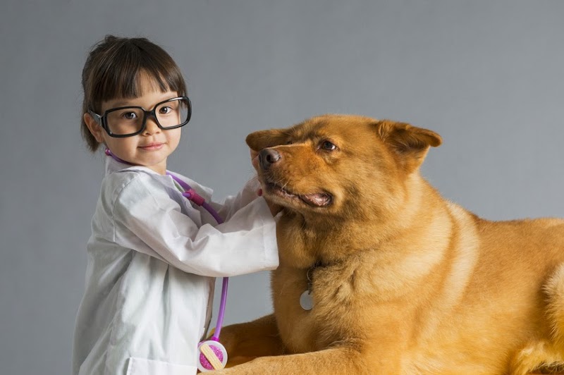 Downtown Animal Care Center