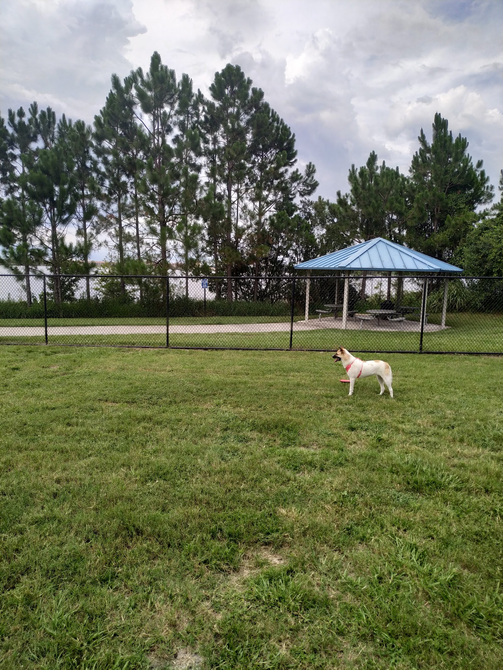Dr. Phillips Dog Park