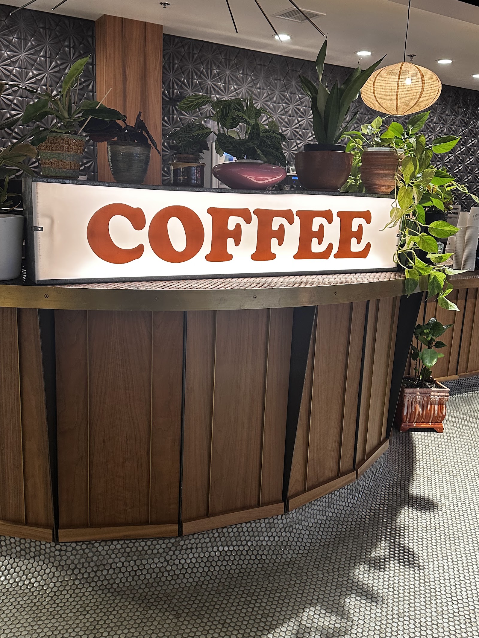 Drip Drop Coffee