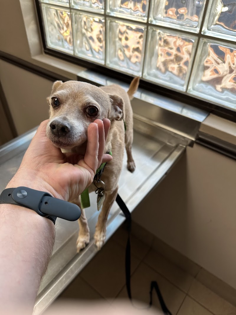 Durango Animal Hospital photo 2