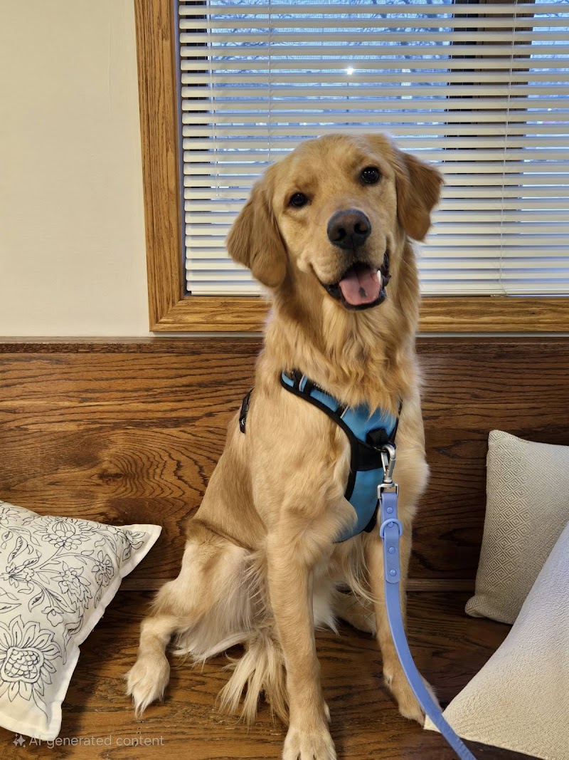 Happy Pet Veterinary Hospital photo 2