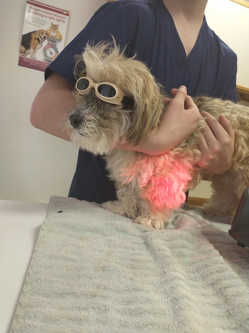 Happy Pet Veterinary Hospital photo 3