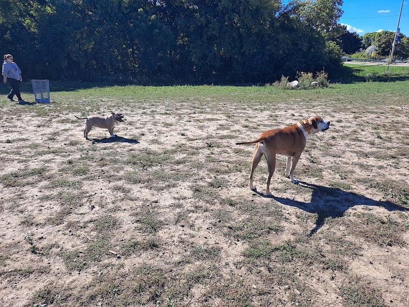 Bay View Dog Park photo 2