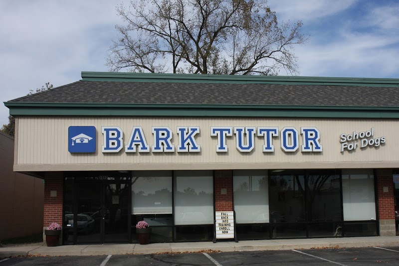 Bark Tutor
