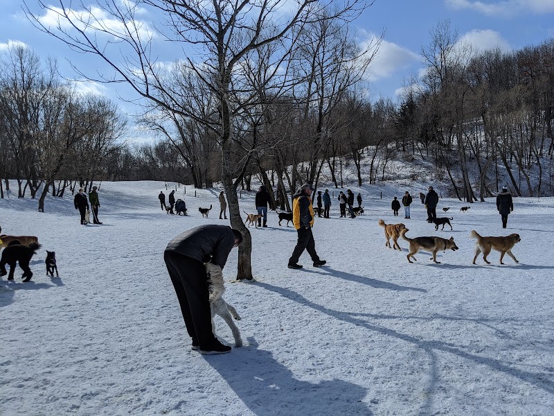 Bryant Lake Dog Park
