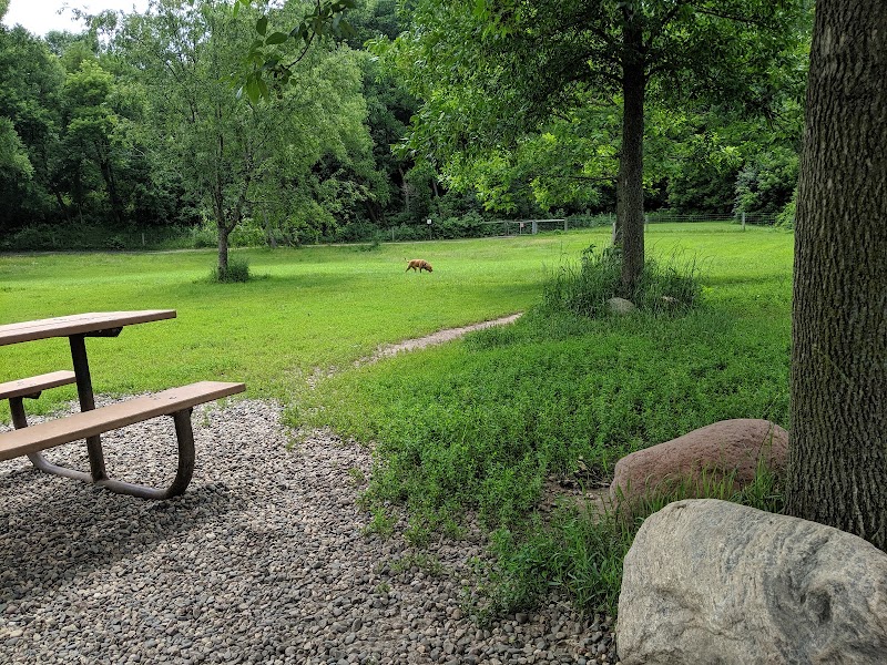 Bryant Lake Dog Park photo 2