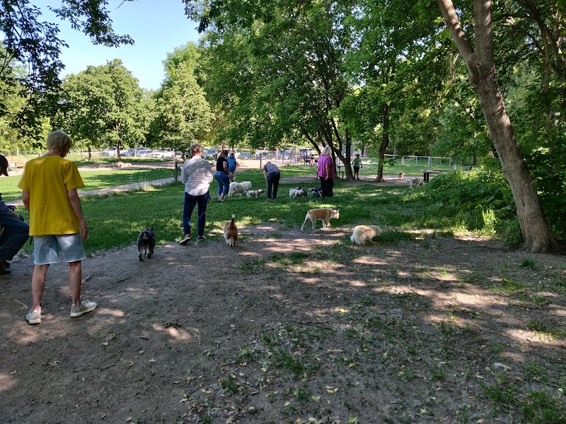 Bryant Lake Dog Park photo 3