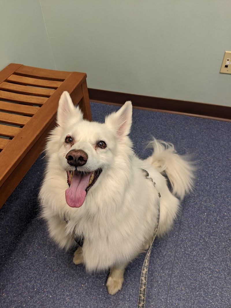 Rainbow Veterinary Clinic photo 3