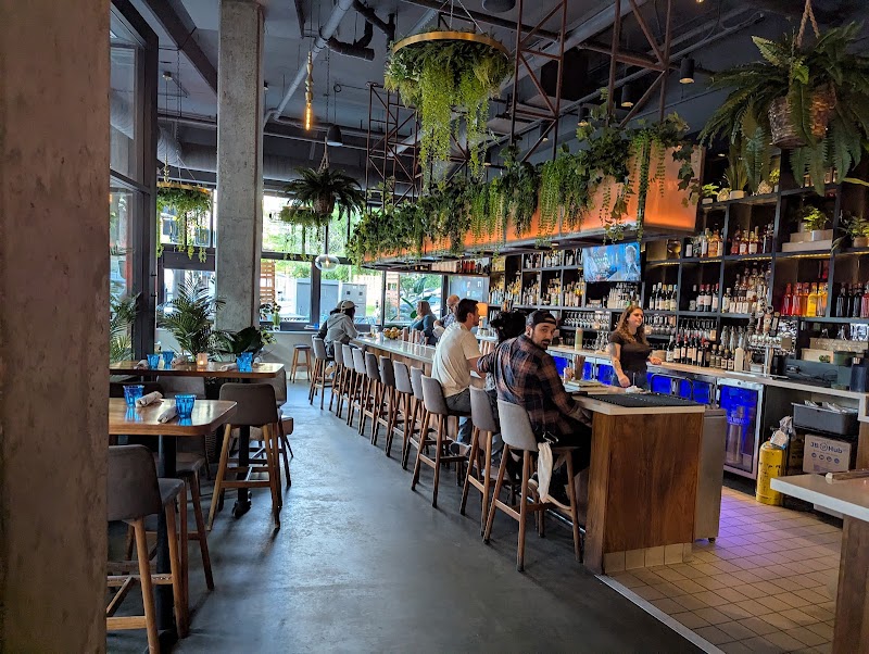 The Sonder Shaker photo 3