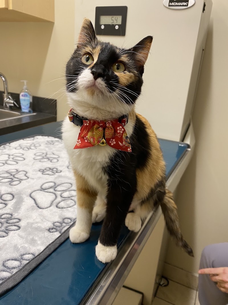 West Loop Veterinary Care photo 3