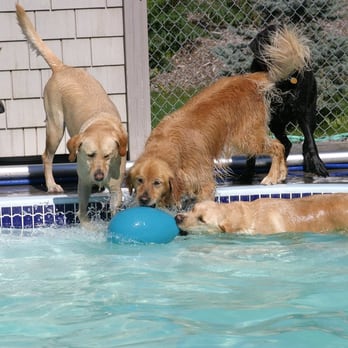 Top Dog Country Club photo 2