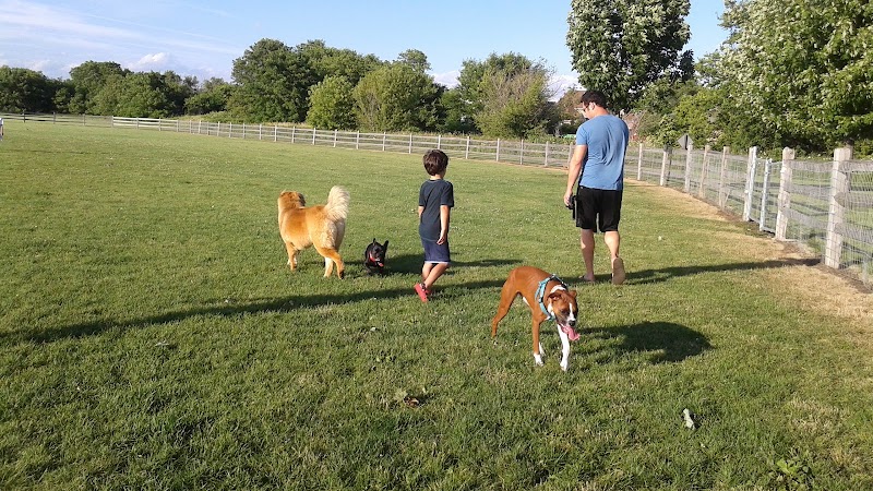Daisy Dog Park photo 2