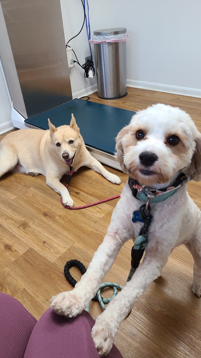 Devonshire Veterinary Clinic photo 2