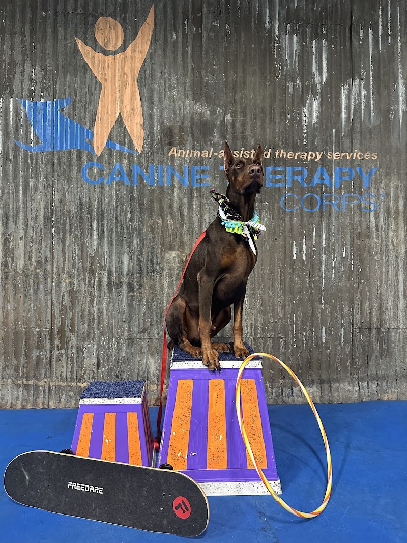 Capricorn Dog Training photo 2