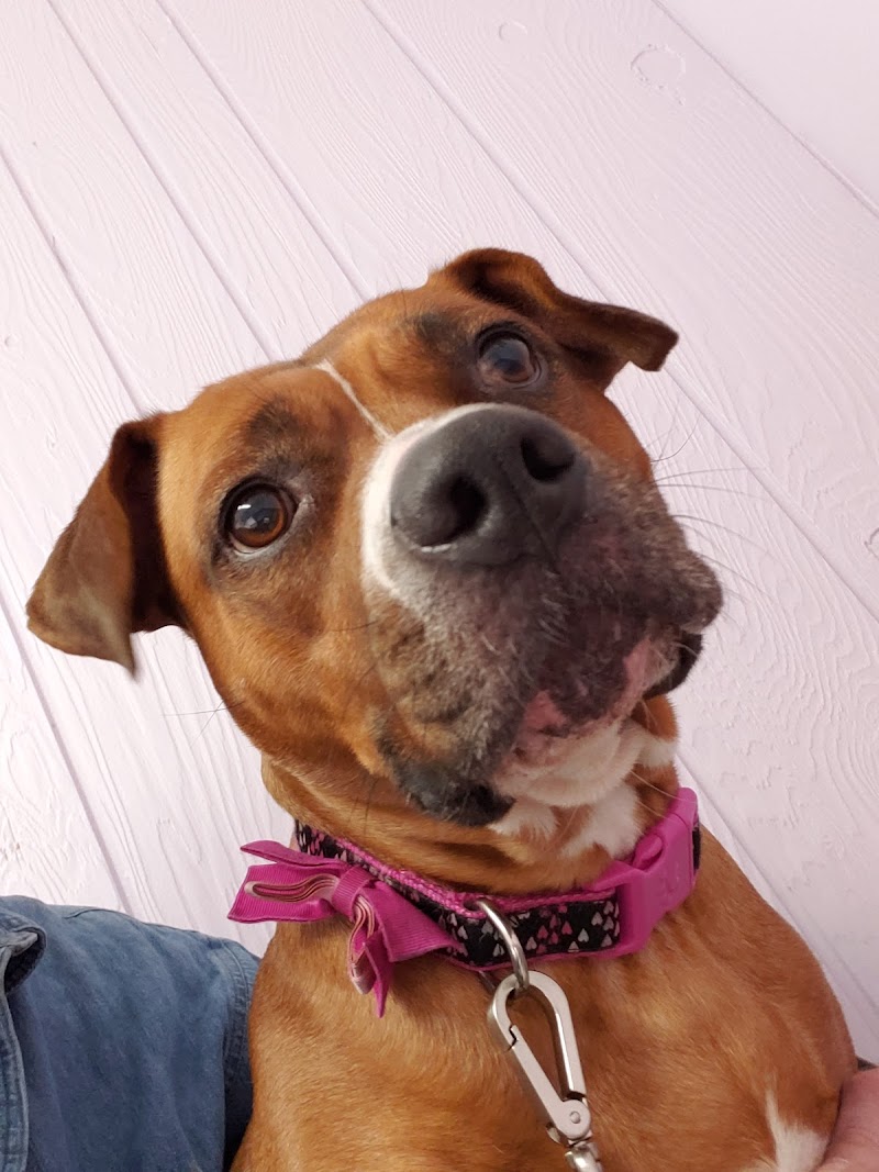 Bretton Ridge Animal Clinic