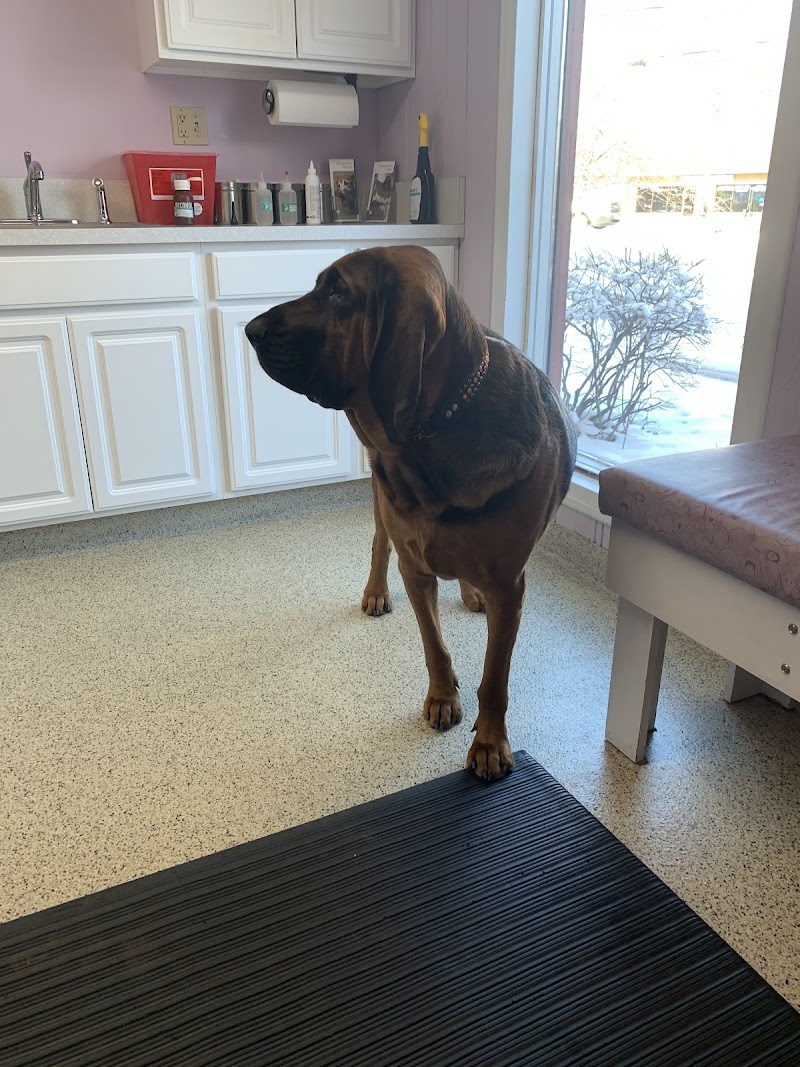 Bretton Ridge Animal Clinic photo 2