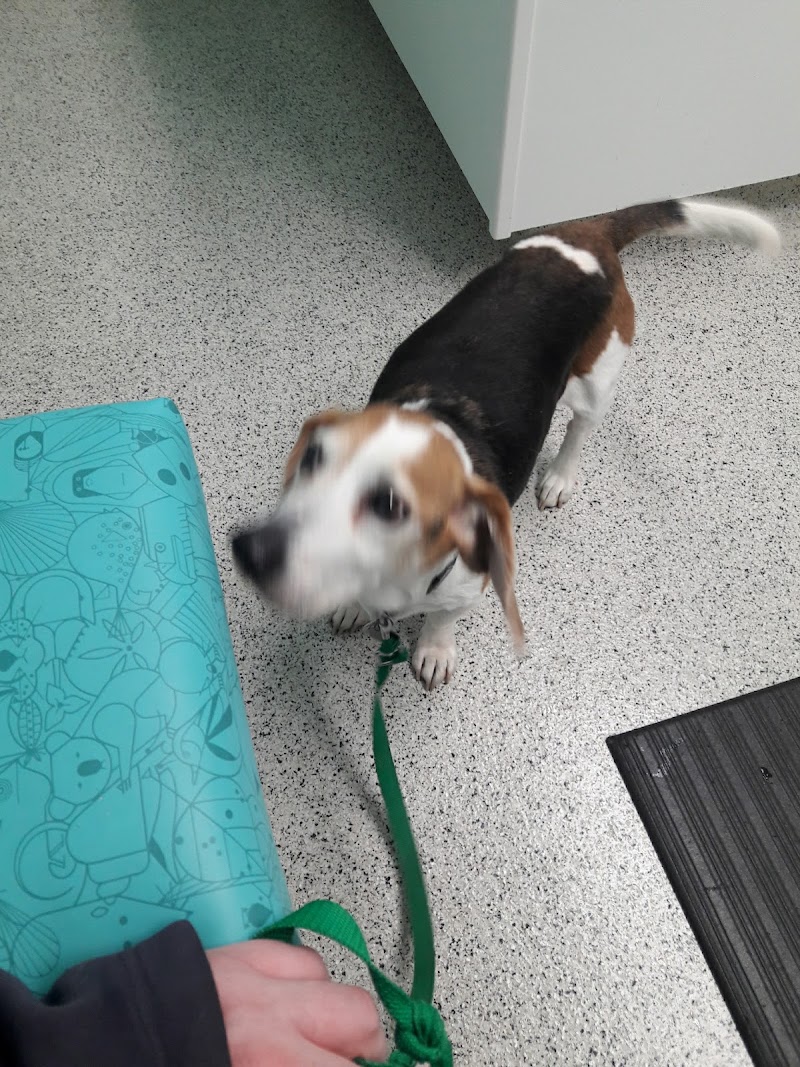 Bretton Ridge Animal Clinic photo 3