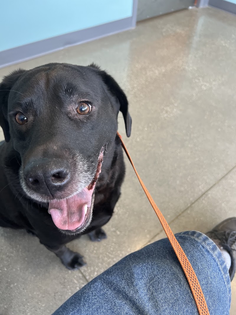 Tremont Animal Clinic photo 3