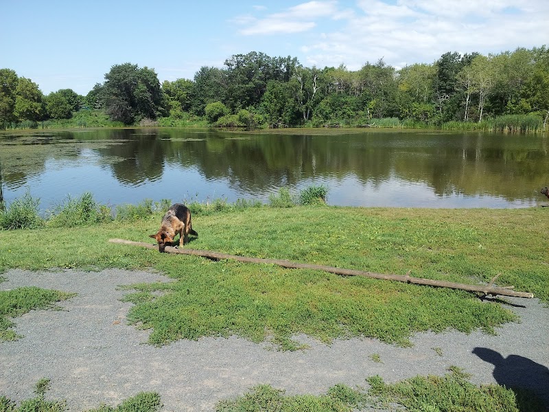 Alimagnet Dog Park photo 2