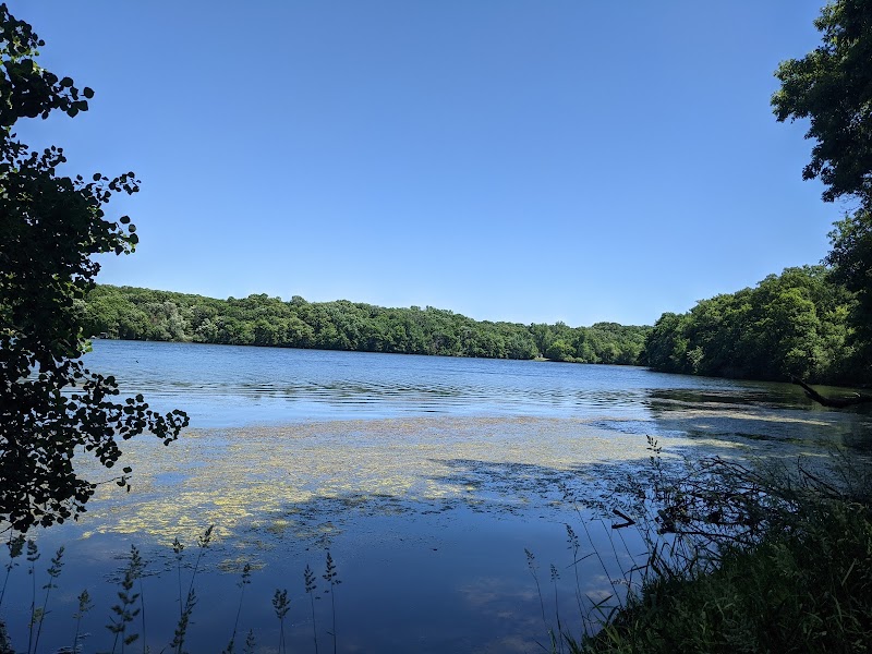 Alimagnet Dog Park photo 3