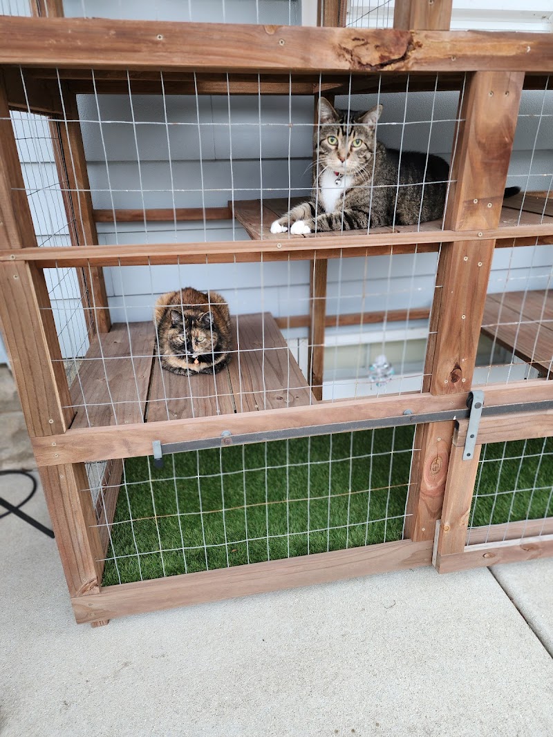 In-Home Pet Services photo 2