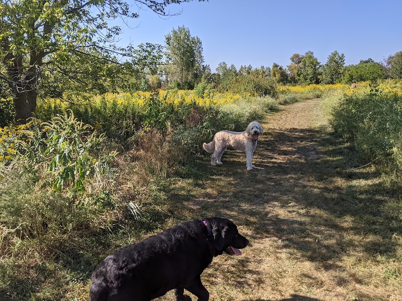 Springbrook Prairie Forest Preserve Dog Park