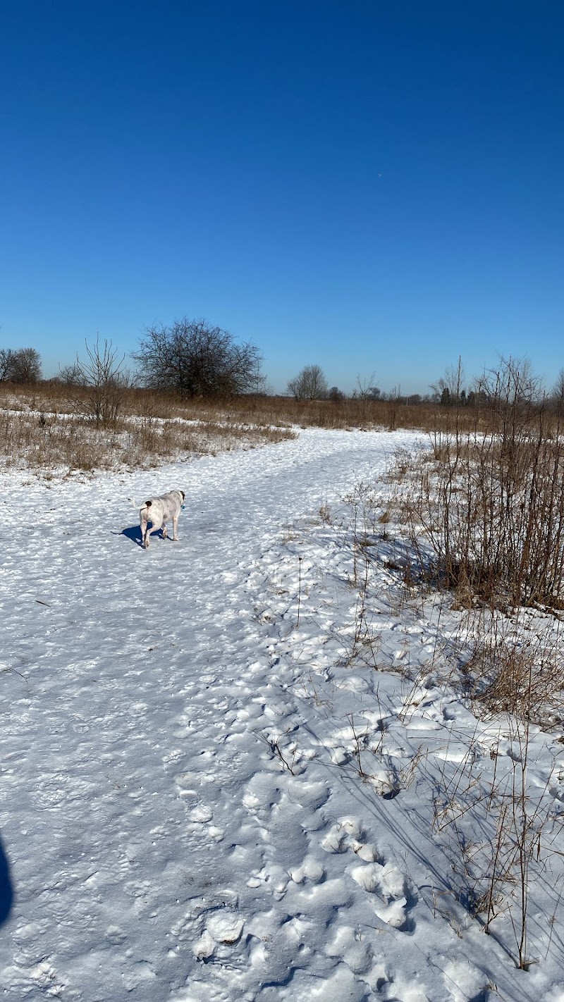 Springbrook Prairie Forest Preserve Dog Park photo 2
