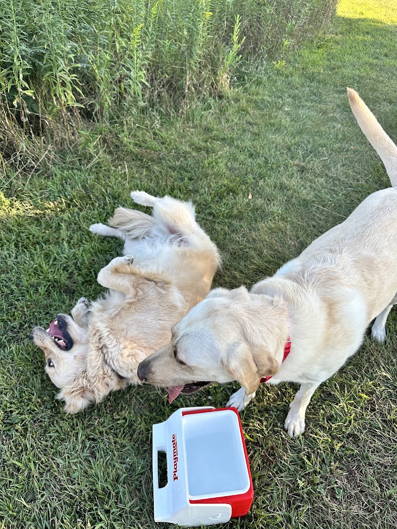 Springbrook Prairie Forest Preserve Dog Park photo 3